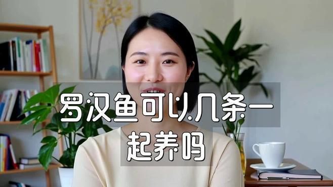 羅漢魚怎么混養(yǎng)不打架