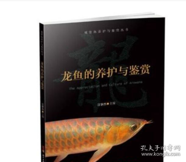 關(guān)于龍魚的書籍有哪些（養(yǎng)龍最全面的書籍《龍魚/觀賞魚文化鑒賞叢書》）
