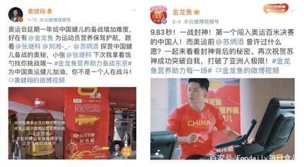 金龍魚營銷案例分析（金龍魚品牌發展歷程）