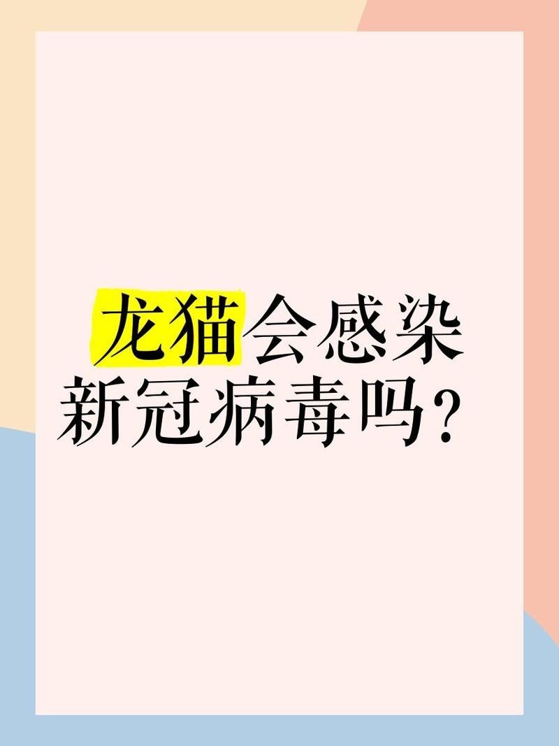 龍貓的細菌會傳染給人類嗎？