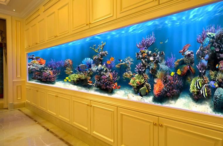 如何選擇合適的魚缸背景？