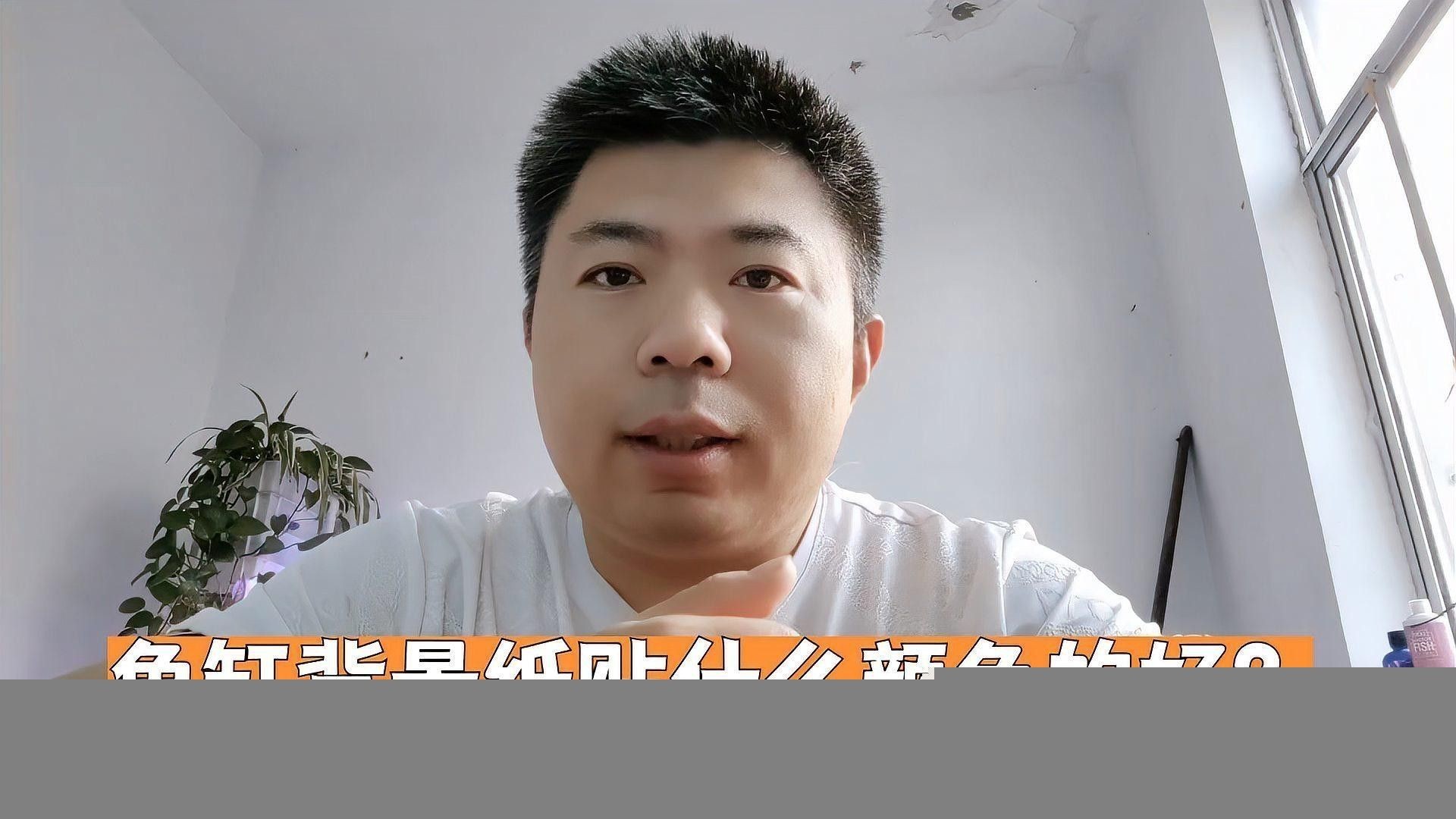 如何選擇合適的魚缸背景？