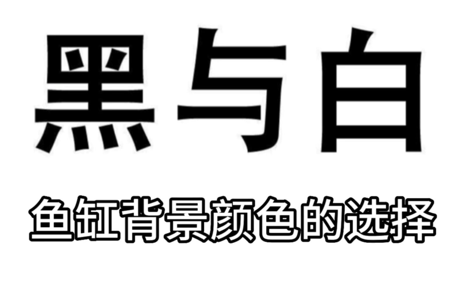 如何選擇合適的魚缸背景？