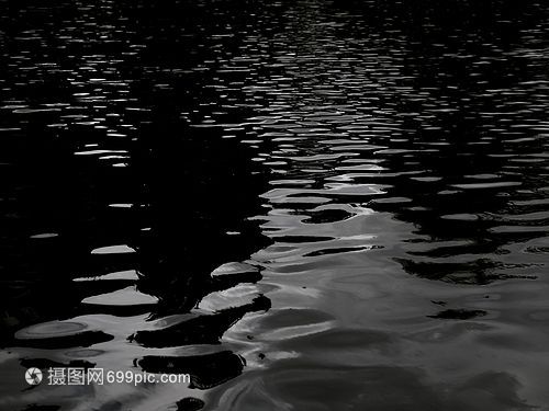 黑水對龍魚有什么作用和功效：黑水對龍魚有什么作用和功效和功效和功效和功效和功效