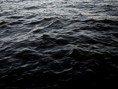 黑水對龍魚有什么作用和功效：黑水對龍魚有什么作用和功效和功效和功效和功效和功效