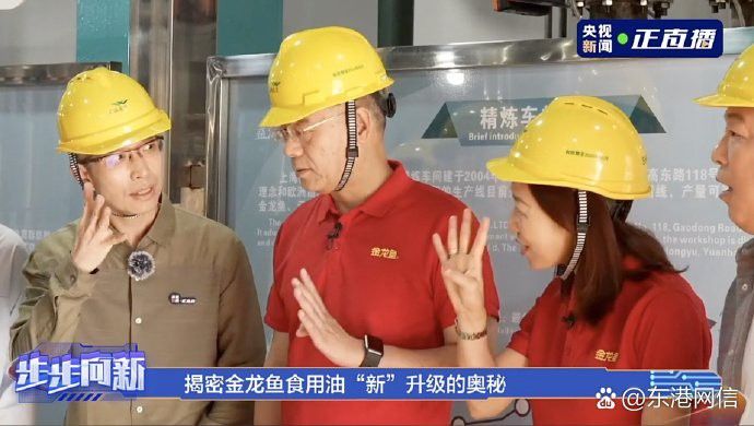 金龍魚公開生產流程的目的是什么？ 金龍魚公開生產流程的目的是什么？ 龍魚百科 第3張