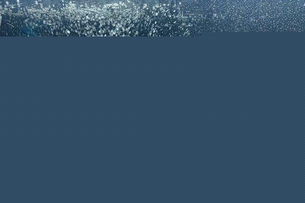 如何預防藍曼龍魚疾病？
