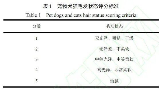 如何判斷寵物貓和龍貓是否適應？ 如何判斷寵物貓和龍貓是否適應？ 龍魚百科 第4張