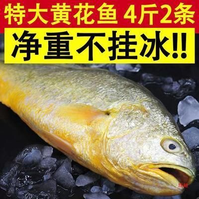 芥末保鮮雪龍魚的效果研究：芥末保鮮效果影響芥末保鮮效果的影響芥末保鮮效果的影響 芥末保鮮雪龍魚的效果研究：芥末保鮮效果影響芥末保鮮效果的影響芥末保鮮效果的影響 龍魚百科 第1張