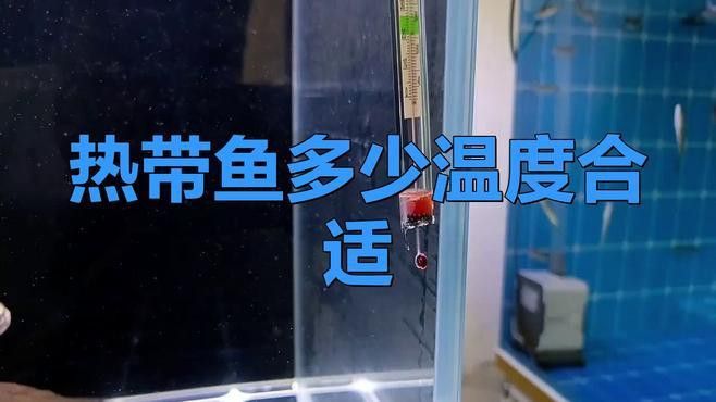 如何調節魚缸水溫至最佳范圍？