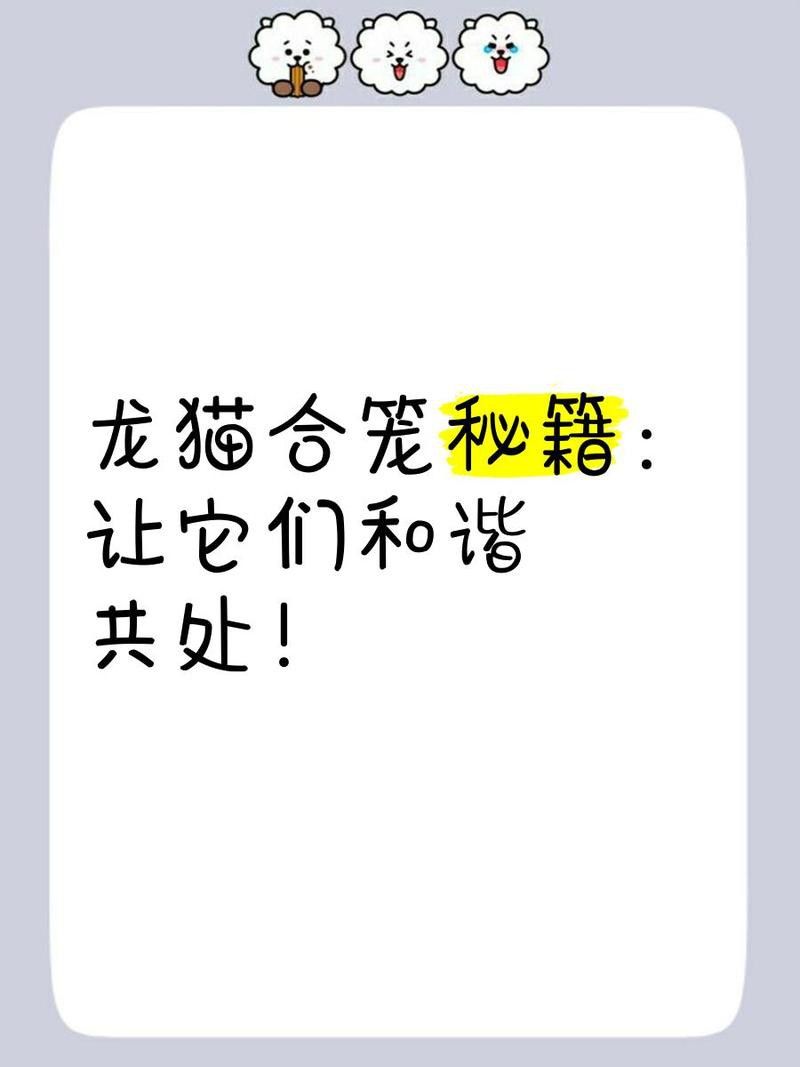 龍貓合籠后需要多久觀察