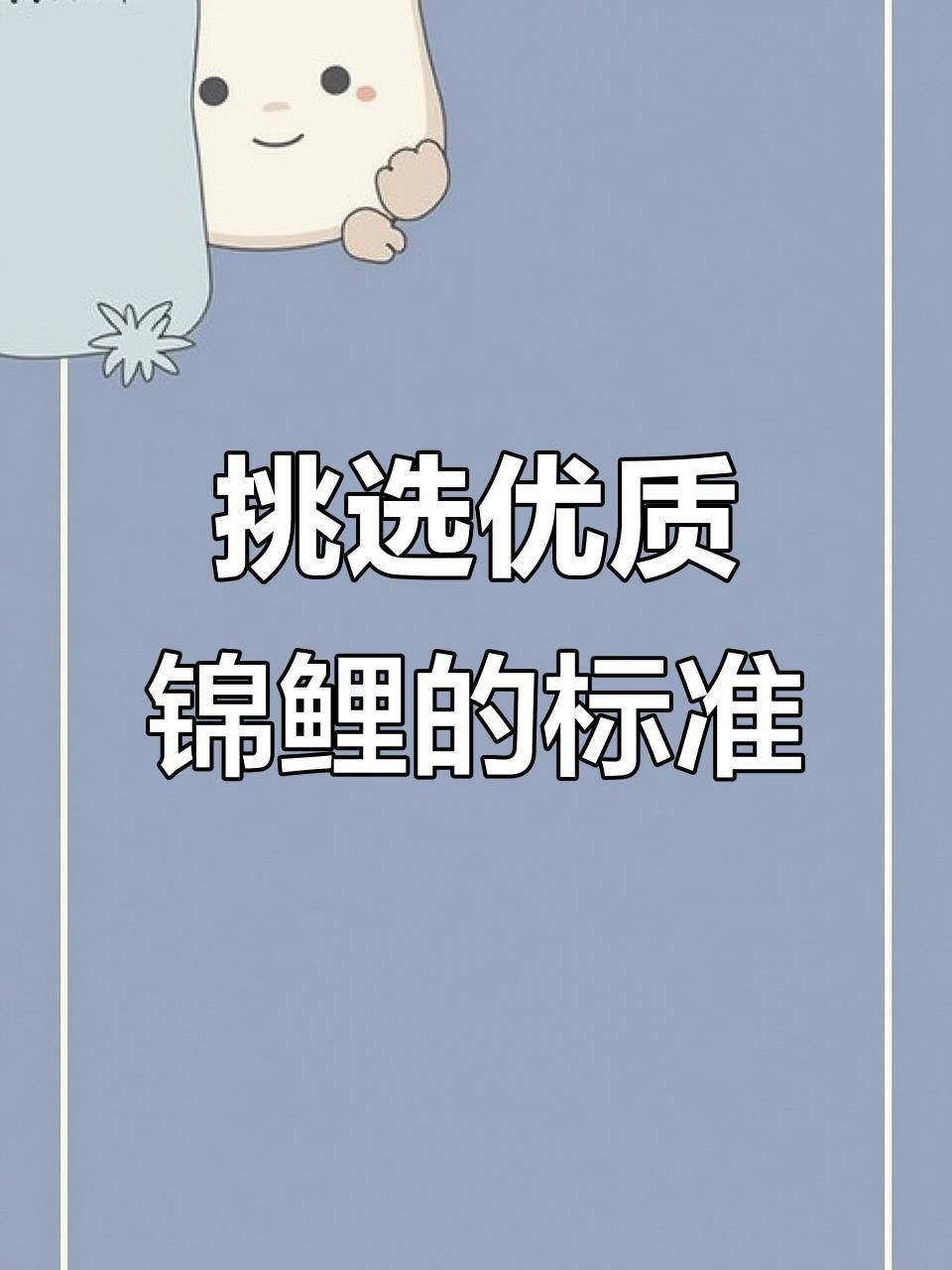 面迫白寫錦鯉的挑選 面迫白寫錦鯉的挑選 龍魚百科 第4張