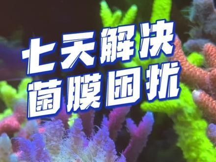 龍魚缸里有白色絮狀物怎么回事圖片