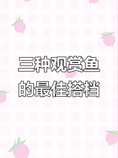 一條龍魚一條虎魚的講究圖片