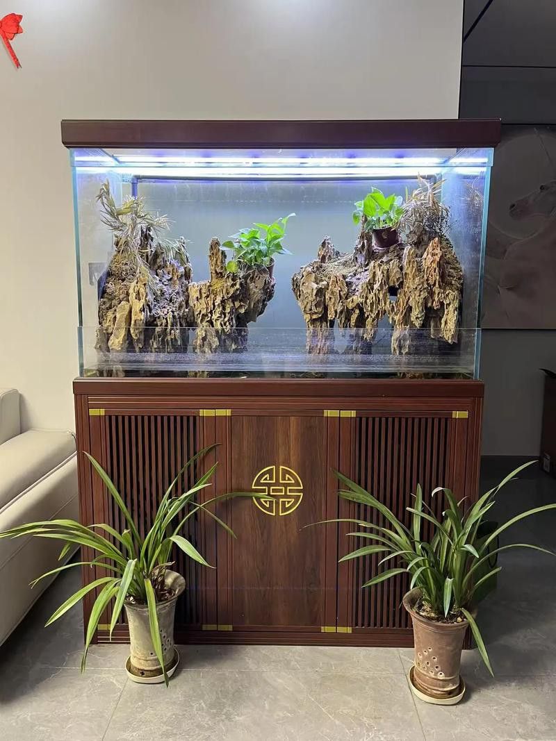 一條龍魚一條虎魚的講究圖片