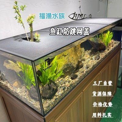 養龍魚的魚缸多大合適養烏龜：養龍魚的魚缸多大合適