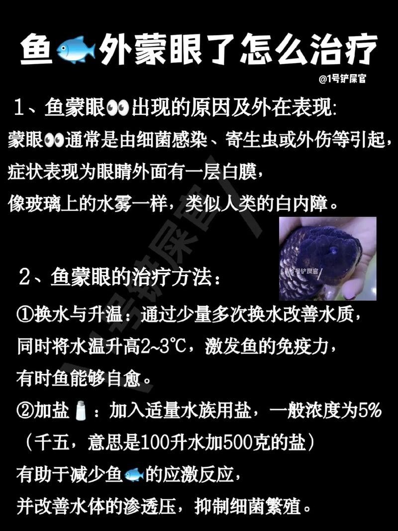 銀龍魚眼睛長白膜是什么原因造成的圖片