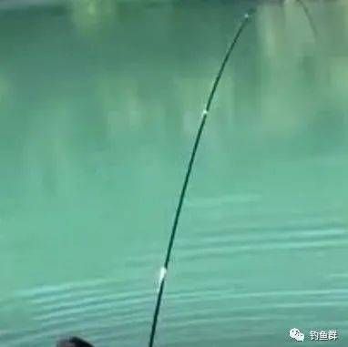 魚缸養魚的笑話大全(魚缸養魚的誤區解析) 龍魚百科 第1張 魚缸養魚的笑話大全(魚缸養魚的誤區解析) 魚缸養魚的笑話大全(魚缸養魚的誤區解析) 龍魚百科 第1張