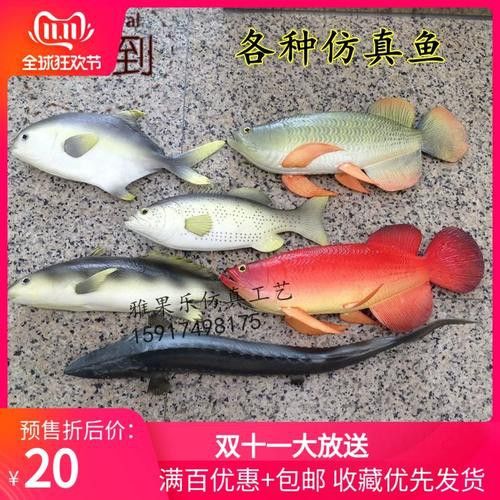 哪里可以購買到假金龍魚？ 哪里可以購買到假金龍魚？ 龍魚百科 第2張