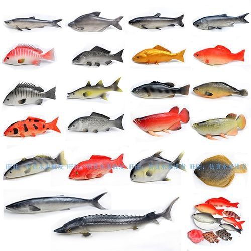 哪里可以購買到假金龍魚？ 哪里可以購買到假金龍魚？ 龍魚百科 第1張