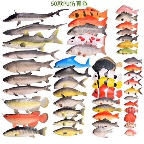 哪里可以購買到假金龍魚？ 哪里可以購買到假金龍魚？ 龍魚百科 第3張