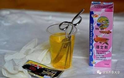 龍魚能喂螞蚱嗎怎么喂的：龍魚可以喂食螞蚱嗎龍魚能喂食螞蚱嗎怎么喂的 龍魚能喂螞蚱嗎怎么喂的：龍魚可以喂食螞蚱嗎龍魚能喂食螞蚱嗎怎么喂的 龍魚百科 第1張
