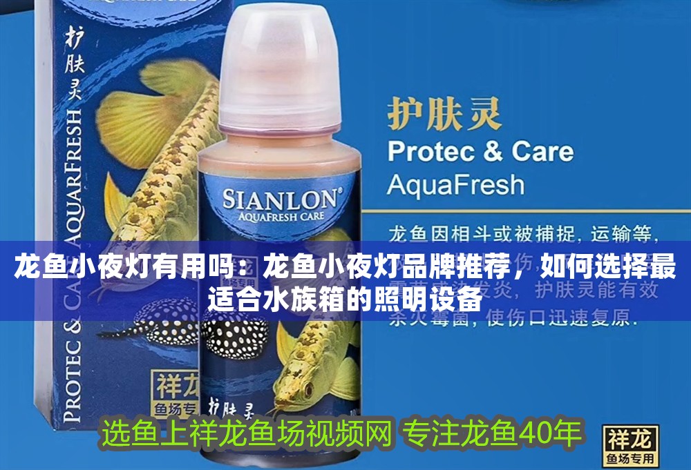 龍魚小夜燈有用嗎：龍魚小夜燈品牌推薦，如何選擇最適合水族箱的照明設備