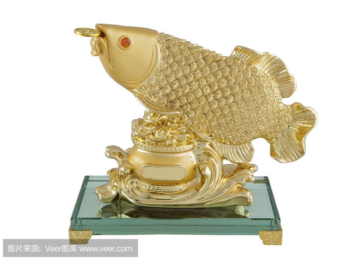 金色龍魚什么寓意好養：金色龍魚什么寓意好養金色龍魚養護注意事項