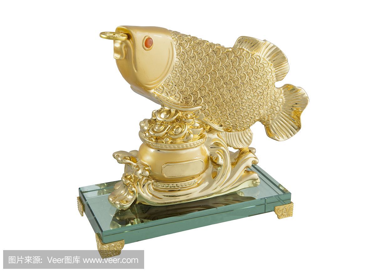金色龍魚什么寓意好養：金色龍魚什么寓意好養金色龍魚養護注意事項