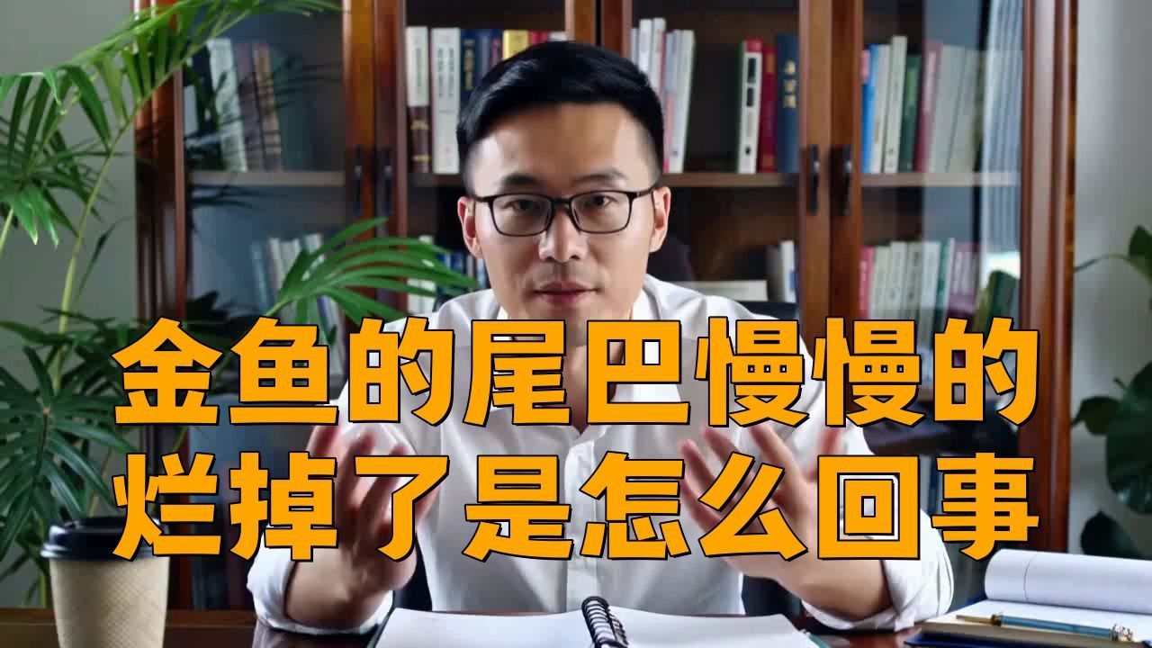 金魚爛尾如何預(yù)防？ 金魚爛尾如何預(yù)防？ 龍魚百科 第4張