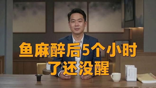 龍魚麻藥放多了怎么辦 龍魚麻藥放多了怎么辦 龍魚百科 第2張