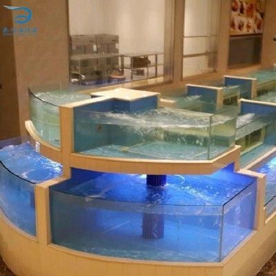 大型龍魚池：大型龍魚池的設計與建造需要綜合考慮多個方面