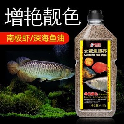 招財(cái)金龍魚擺件價(jià)格：銀龍魚和戰(zhàn)船魚在飼養(yǎng)難度上并沒有太大的區(qū)別并沒有太大