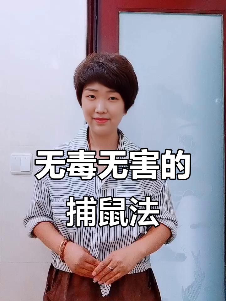 老鼠怎么徹底消滅最簡(jiǎn)單方法