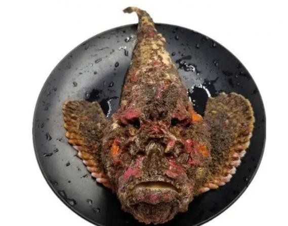 老虎魚長什么樣