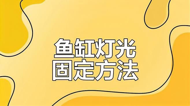 過背金龍魚缸照明燈應(yīng)該放在什么位置