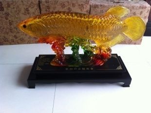 辦公室招財金龍魚頭向哪擺放（關于辦公室內招財金龍魚的擺放位置，存在一定的風水講究）