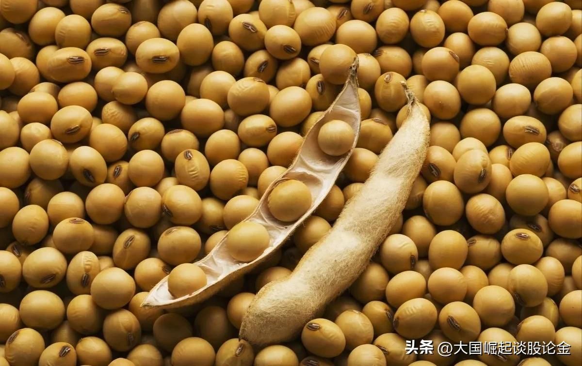 怎么能讓魚缸的水變清（如何正確使用魚缸過濾器魚缸水變綠的解決辦法）