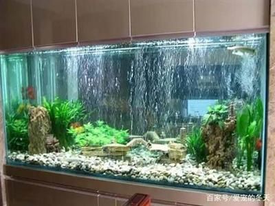 龍魚適合用什么濾材（養(yǎng)龍魚選擇合適的濾材對于維持水質至關重要） 龍魚適合用什么濾材（養(yǎng)龍魚選擇合適的濾材對于維持水質至關重要） 龍魚百科 第1張