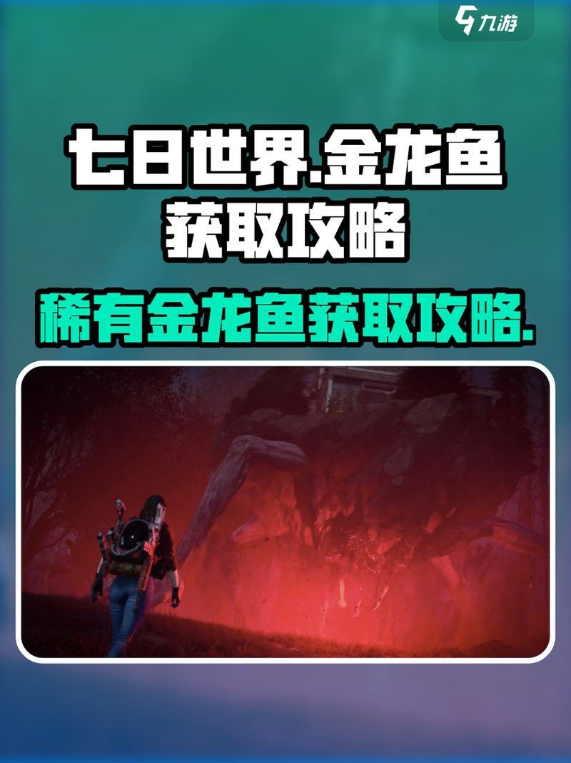 金龍魚的最佳捕捉季節是什么時候？ 金龍魚的最佳捕捉季節是什么時候？ 龍魚百科 第1張