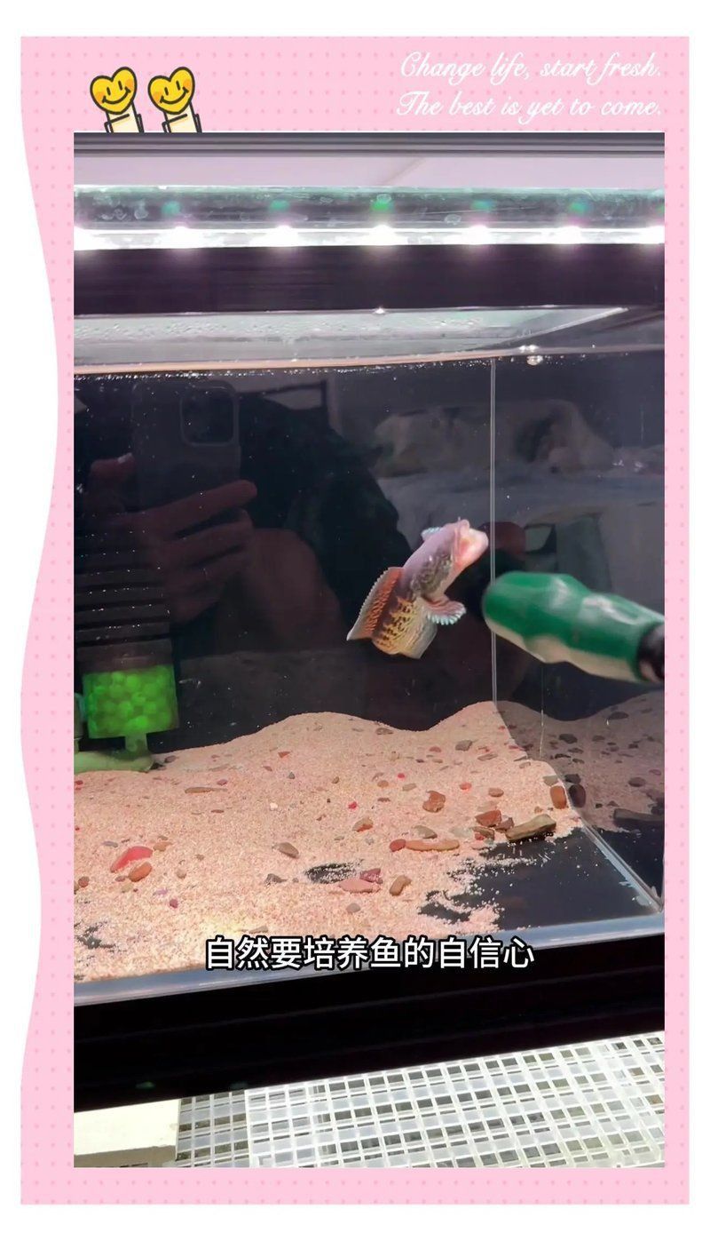 雷龍魚怎么訓練