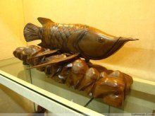 龍魚戲水什么意思（“龍魚戲水”什么意思） 龍魚戲水什么意思（“龍魚戲水”什么意思） 龍魚百科 第5張