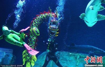 龍魚戲水什么意思（“龍魚戲水”什么意思） 龍魚戲水什么意思（“龍魚戲水”什么意思） 龍魚百科 第1張