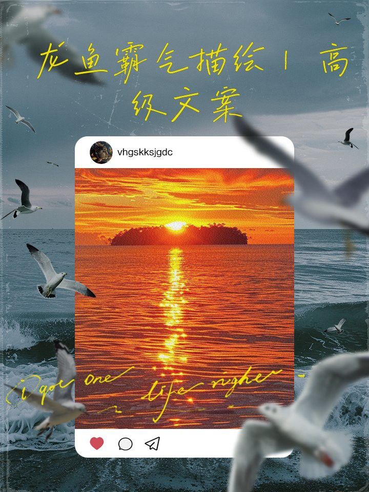 贊美紅龍魚經(jīng)典語錄短句
