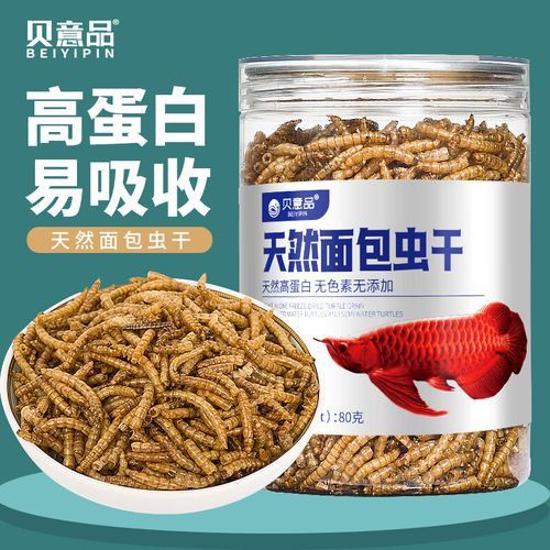 貝意品金龍專用飼料有哪些特點？