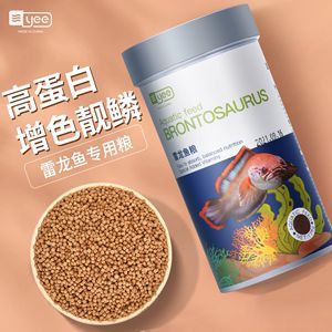 招財金龍魚擺放的最佳位置（招財金龍魚擺件擺放的最佳位置）