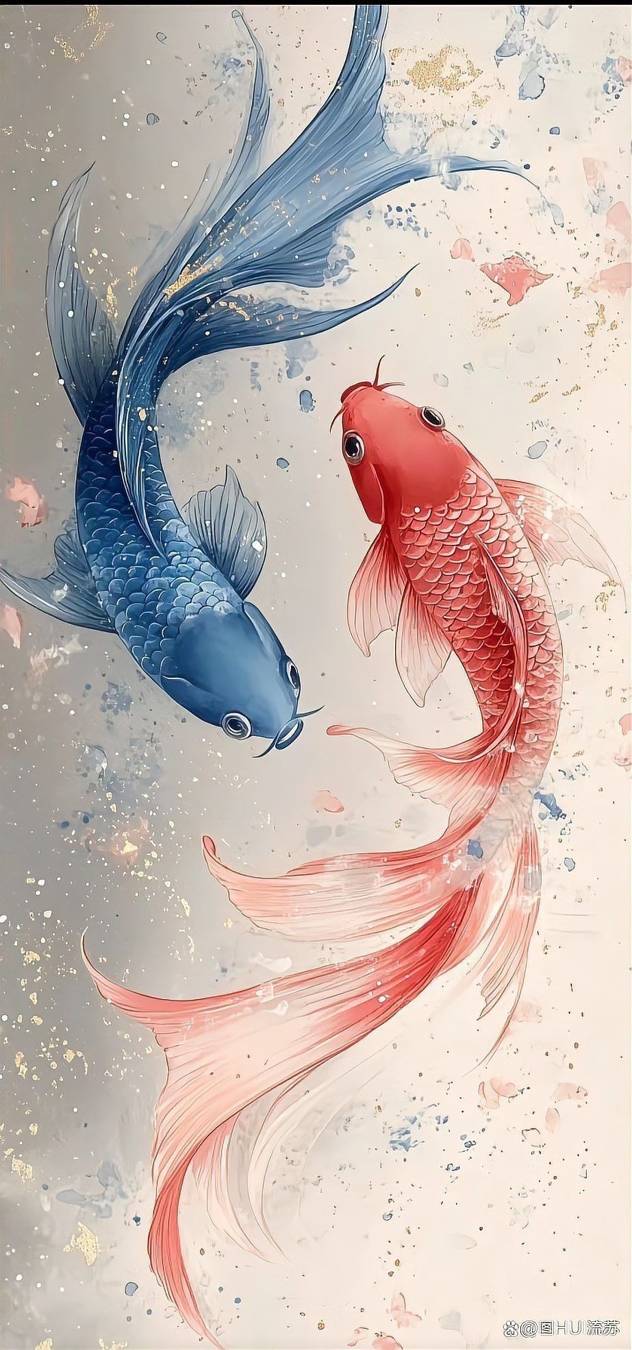 有沒有適合手機(jī)的超美龍魚壁紙？