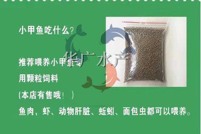 如何判斷龍魚飼料新鮮度：判斷龍魚飼料新鮮度的幾種方法