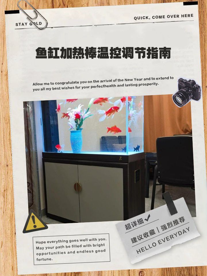如何設置龍魚缸的加熱器？