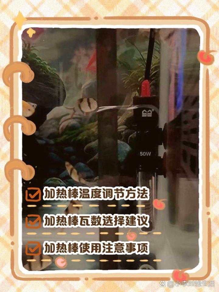 如何設置龍魚缸的加熱器？